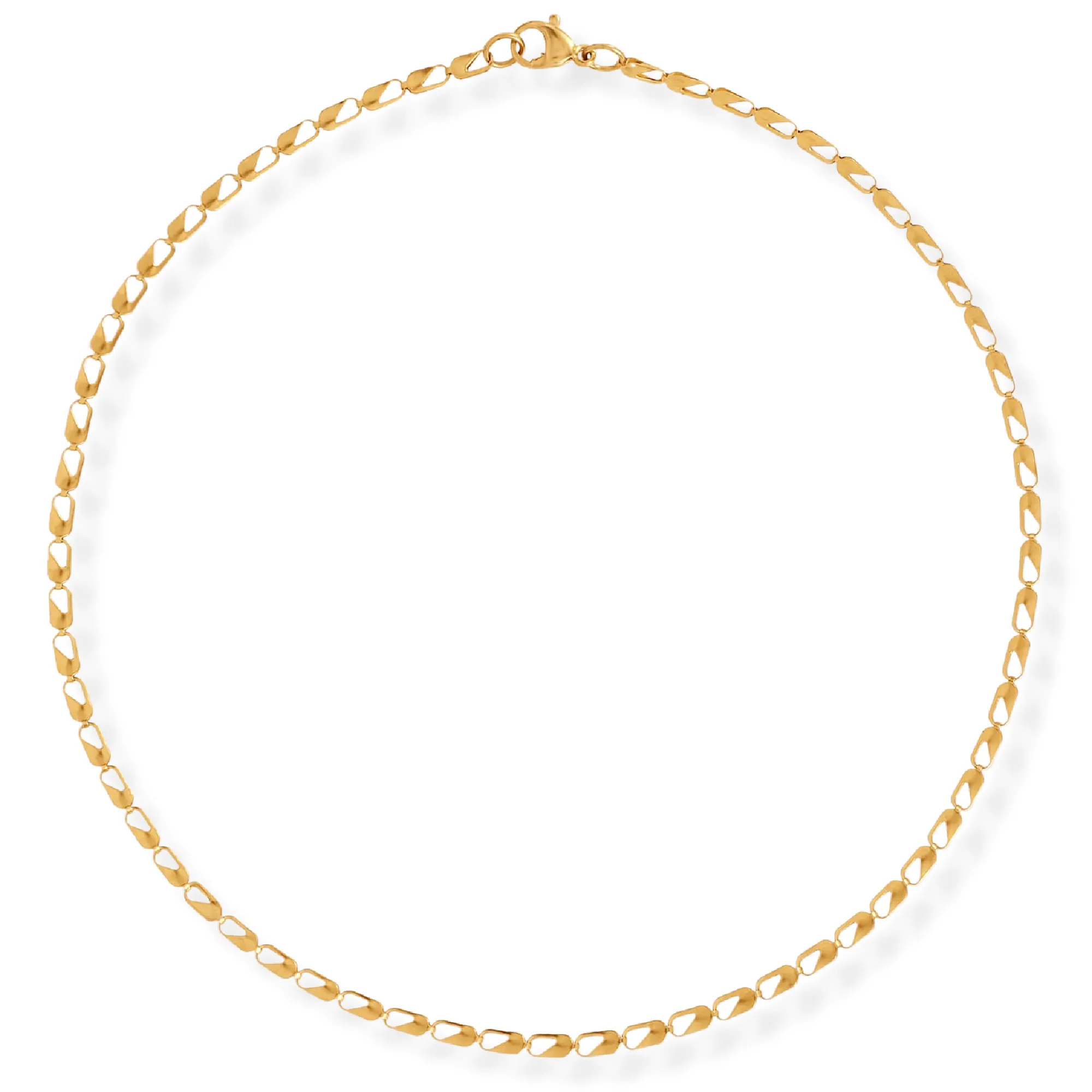 Ellie Vail - Emery Dainty Choker Chain Necklace