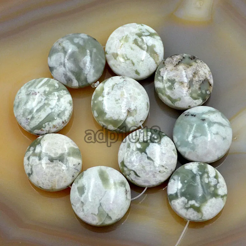 Natural Gemstones 20mm Coin Round Beads 10pcs