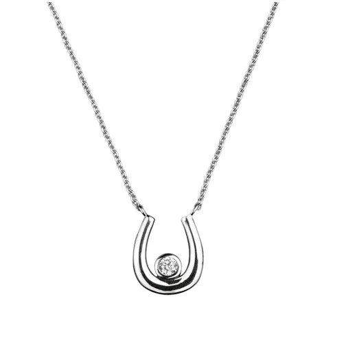 Silver stone set Horseshoe Necklace