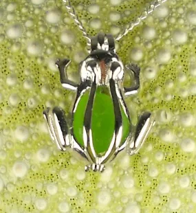 Sterling Silver GENUINE Sea Glass Necklace Green Frog Pendant Locket